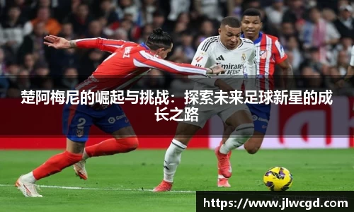 ac米兰体育平台